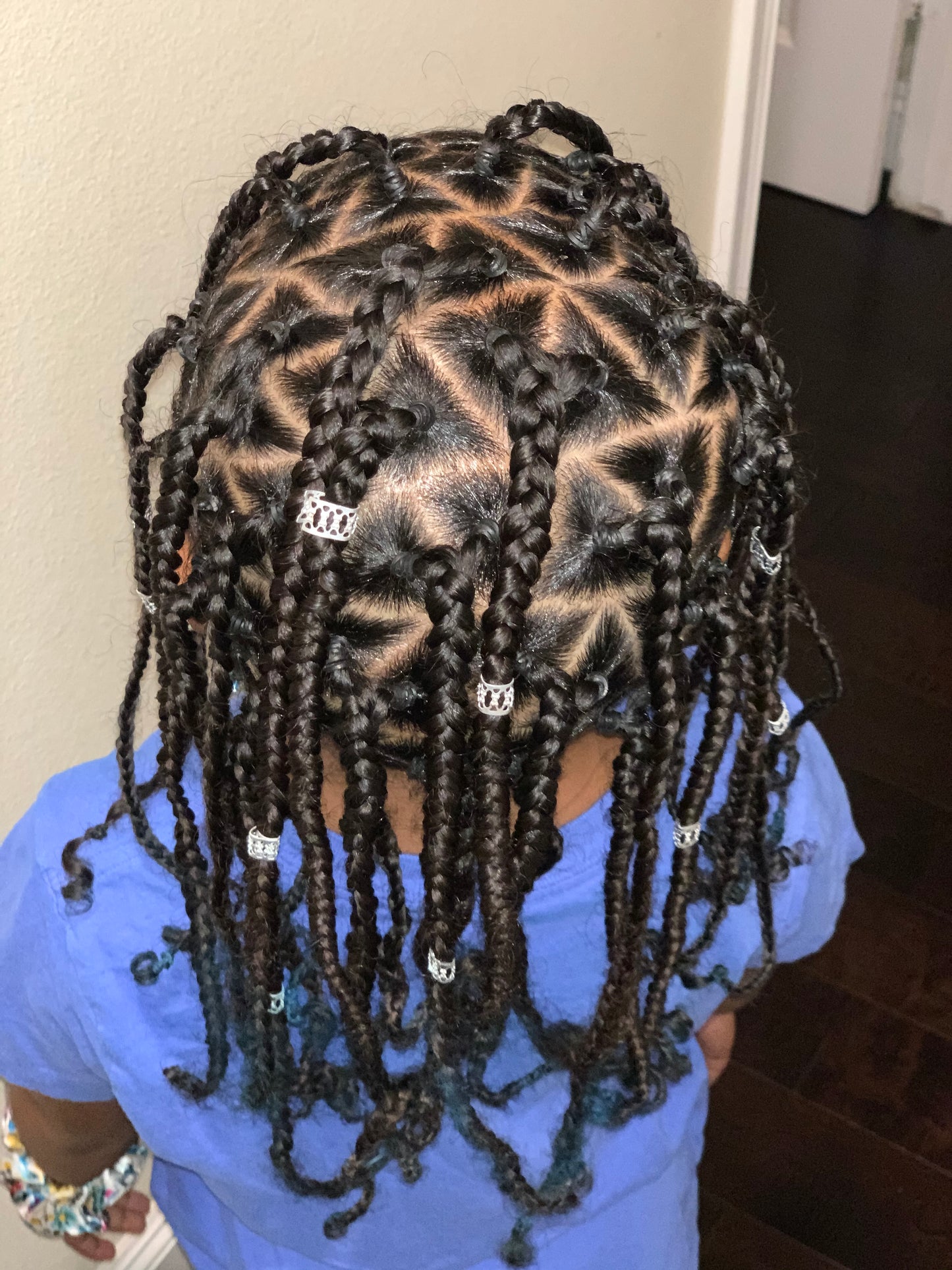 Box Braids ( No hair added)